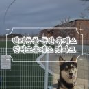 펫인더파크 | 애견동반 장거리여행 필수 코스 평택호 휴게소 펫파크 위치부터 솔직후기까지