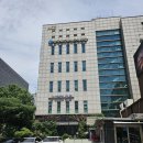 스티머스 | 서초 카페 숲속에 온듯한 통창이 매력적인 힐링 카페 커피 맛집 추천 서초역 스티머스 팩토리샵
