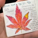 호맥강릉교동점 | 日々の暮らし-12 송년회가 시작되었다 (빨간삼겹살,호맥,세계의주인,절창)