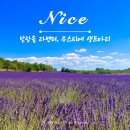프랑스 남부 니스 여행 | 근교 발랑솔, 무스티에 생트마리 투어 추천 후기, 라벤더 절정 시기