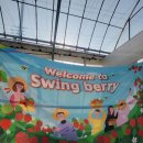 화순농장 | 아이와 함께 가기 좋은 광주 근교 딸기체험농장 - 화순 '스윙베리' 방문 후기