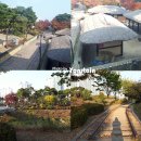 박물관공원(부평역사박물관 옆) 이미지
