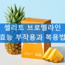 셀리트 브로멜라인 다이어트 붓기 효능? 부작용과 복용법 정리
