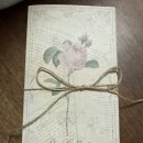 뮤르뮤르 젤네일 여리여리한 로즈 컬렉션 5종 세트 란제리 색상 내돈내산 후기