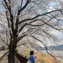 구례나날 이미지