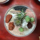 플라워 테라피(B) 이미지