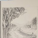 덕풍천 산책로 이미지