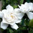 마인드7 이미지