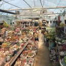 남매한우농장 이미지