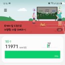 말미산정상 이미지