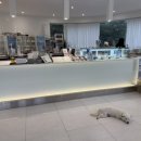 금강카페 이미지