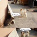 일루와 이미지