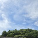 남춘천시골청국장 | 260627 남춘천시골청국장
