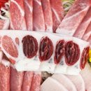 준마이참치 이미지