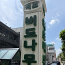 서초동고기집 | 강남역 맛집 버드나무집 서초동 본점 미슐랭 갈비탕 웨이팅 후기