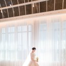 4367 | W.3 본식 스냅 라벨르 계약 후기