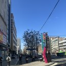 서울미술고 인헌중고 정류소 | 낙성대 수제버거 버거리, 수제버거 퀄리티의 정점!
