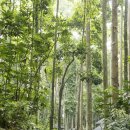 호텔자유1 이미지