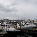 강구항 이미지