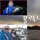 써니호 이미지