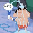 26년 6월 첫째주 직장인 일상 | 기록