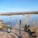 오리사냥 2 이미지