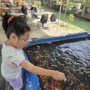 주희농장 이미지