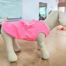 옷만들기 초중급 이미지