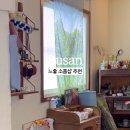 루프트베이스먼트 | 부산 편집샵 노클레임 쇼룸 전포 놀거리 서면가볼만한곳 쇼핑