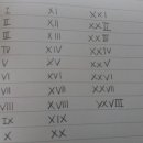 비베호디에 이미지