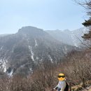 악동강아지 | 🏔️한라산 초보자 완등후기🏔️준비물⭐️꿀팁⭐️ 초보자 코스 - 한라산 전용 숙소추천