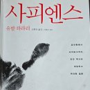 지음 이미지