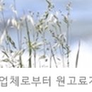 파도콘도형 민박 이미지