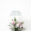웰빙꼬마김밥 네이버블로그