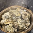 루빈각 | 🦪광주 굴 무한리필 - 운암동 범가네 대패무한리필🦪