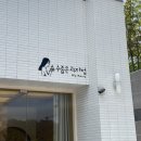 강릉 디저트 찐맛집 :: 수줍은과자점 현지인 강추 존맛 디저트 맛집!