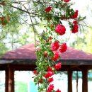 내가만약 이미지