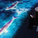 청계스포츠 이미지