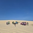 스타인목장 | 나트랑 사막투어 지프투어 판랑 무이네 비교 가격 코스 복장 꿀팁