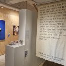 산수싸리 이미지