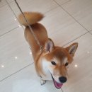 약대지구대 이미지