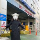 [한우 선물세트] 마장동에서 설 선물 준비!두둥(Feat 11년차 커플의 선물 세트 추천)