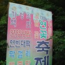 연꽃향기천연염색 이미지