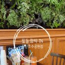 동탄 호수공원 맛집 필동함박 IN 동탄호수공원점 가성비 메뉴