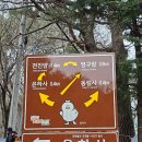 신어산 산림욕장 | BAC 100+ 신어산 등산후기 (신어산산림욕장추자장 코스, 은하사 코스)