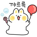 START DOGS(스타트독스) 이미지