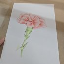색연필화 | [미사/선데이아트미술학원]경기도평생교육이용권으로 취미미술 수업 들은 후기(색연필화)
