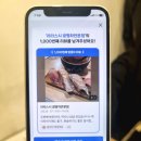 라라스시 이미지