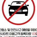 황산애견 이미지