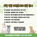 아산 반려견 교육센터 | 유기견 보호소 산책 봉사 후기 (아산시 동물복지지원센터 온봄, 동물보호연대)
